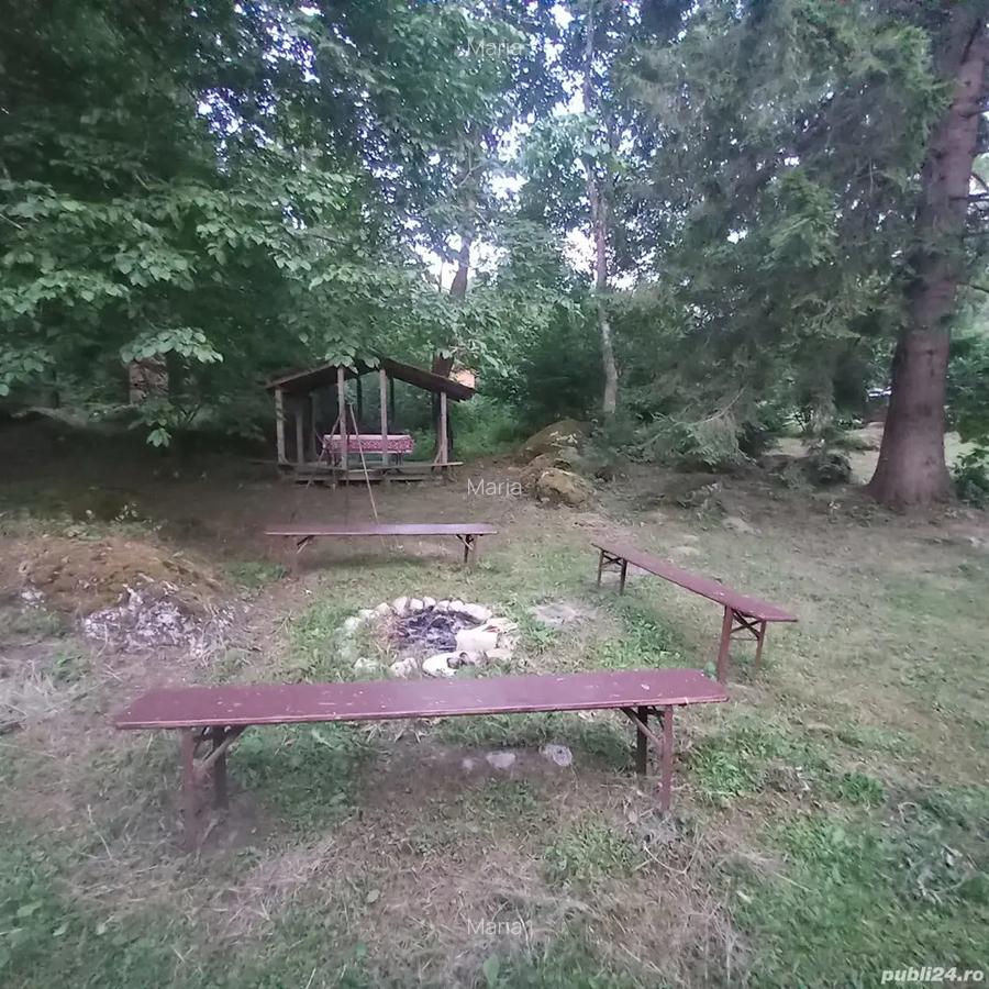 Un colt de paradis in Bucegi - 5