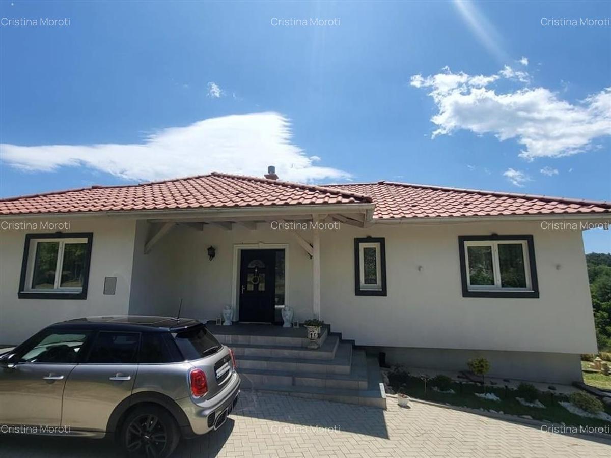 Acasa in Apuseni - 4