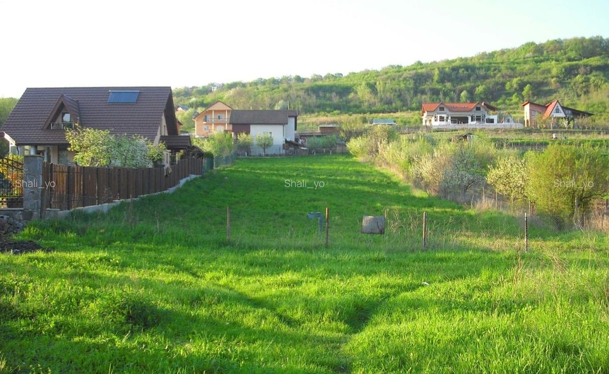 PROPRIETAR Vand teren intravilan 2600 mp pentru casa in localitatea Bardesti - 4