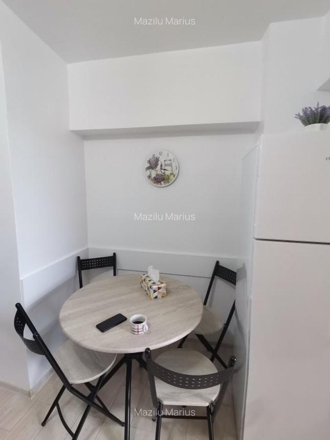 Studio decomandat, mobilat, utilat nou contract ANAF - 13