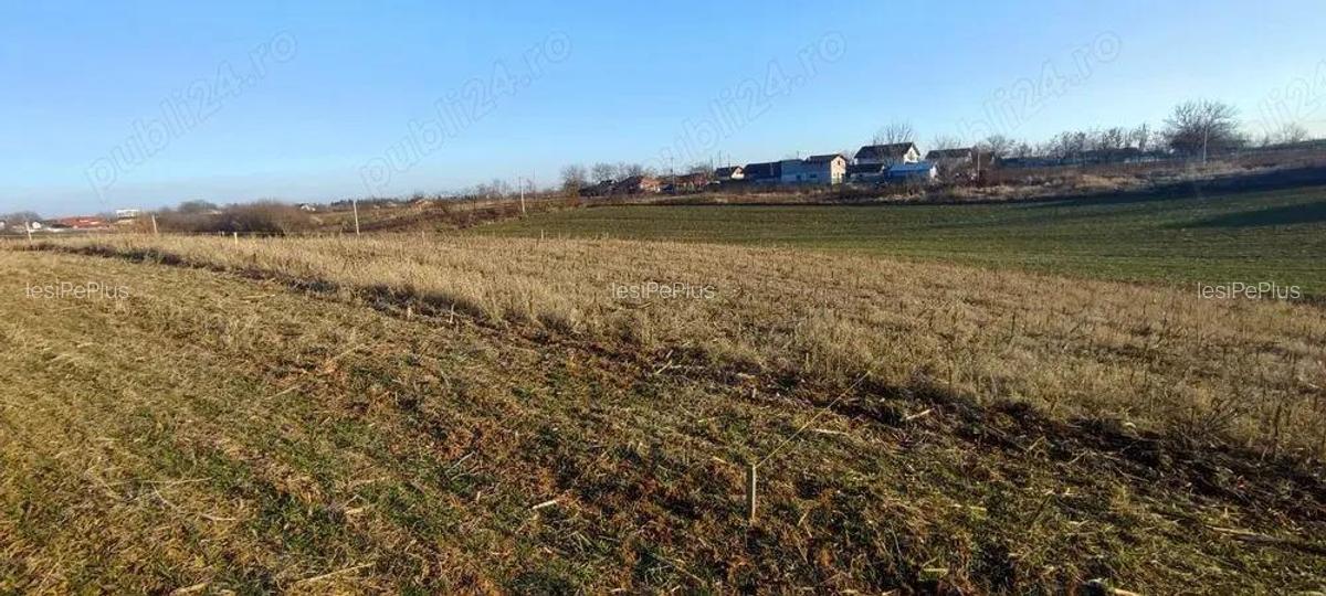 Teren 6.000 mp cu deschidere 30 m la drum asfaltat utilita?i la poarta, zona Peri?, 30 min BANEASA - 1