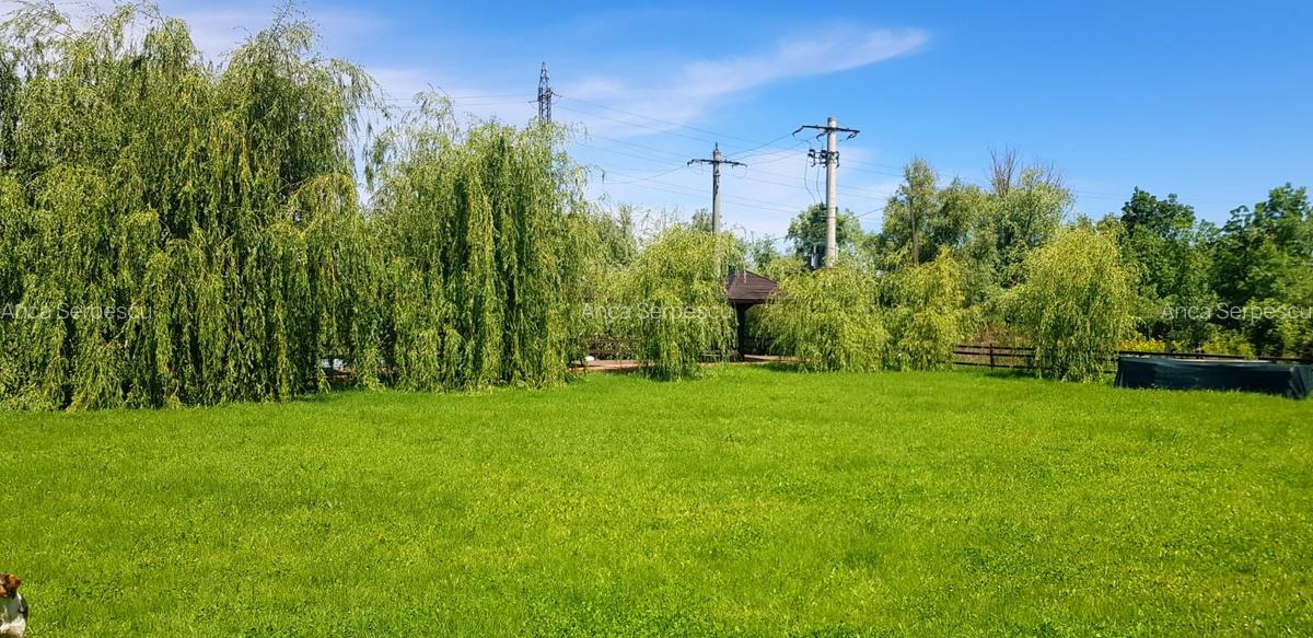 Pensiune în Crișan - Afacere turistică complet funcțională în Delta Dunării - 4