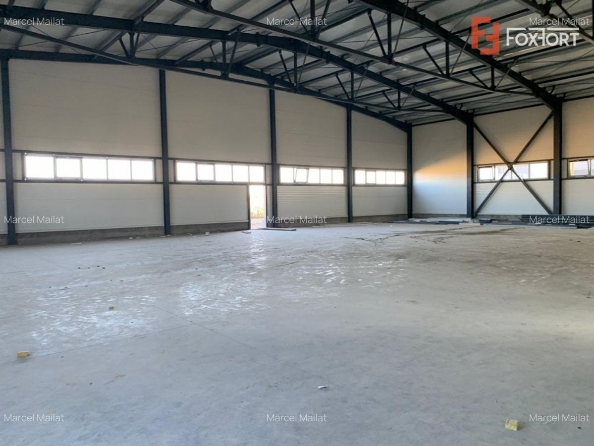 Hala industriala 600 mp, curte 1398 mp, parcare, toate utilitatile - Ghiroda - 2