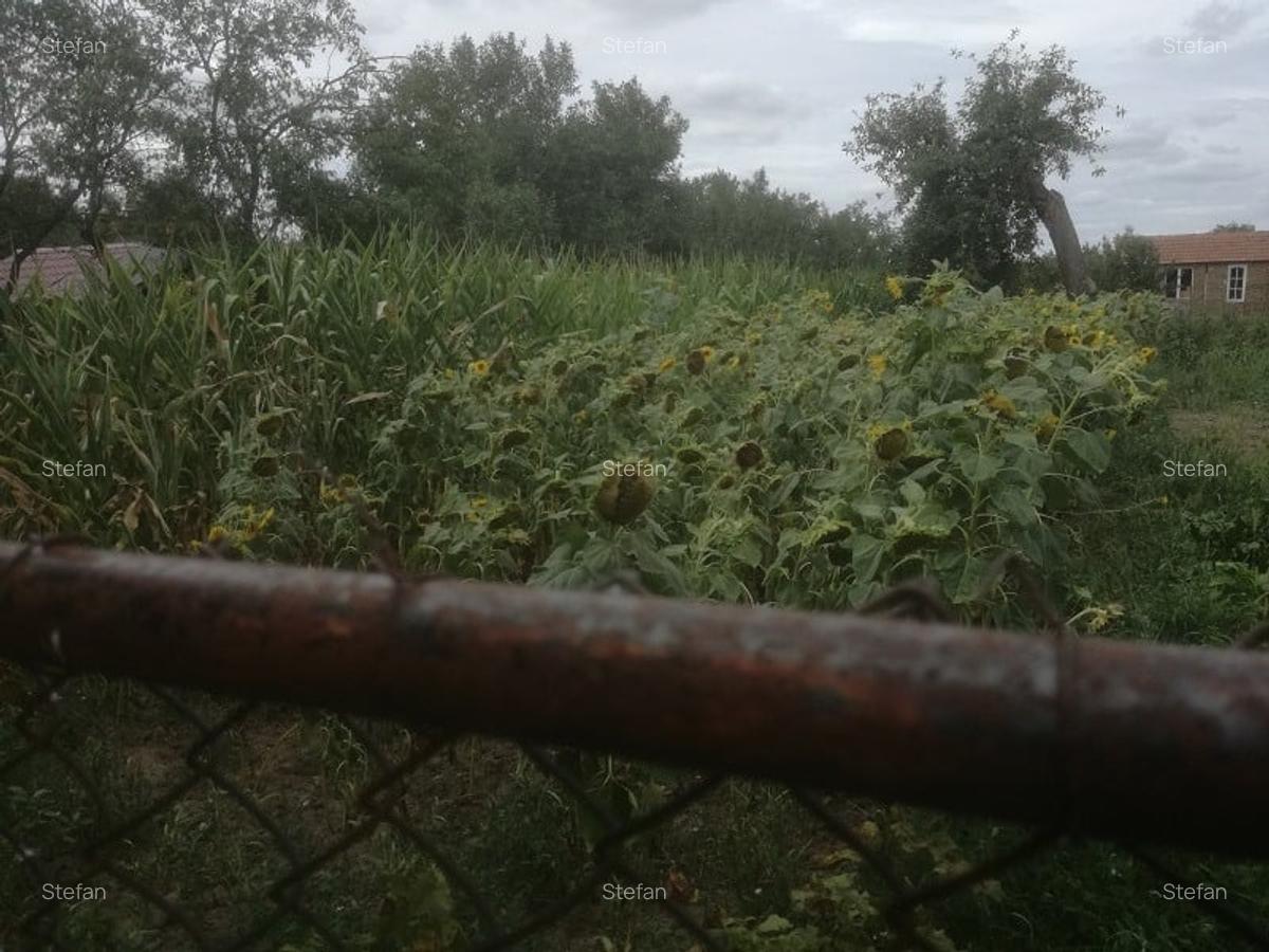 Teren intravilan jud.  Bihor - 6
