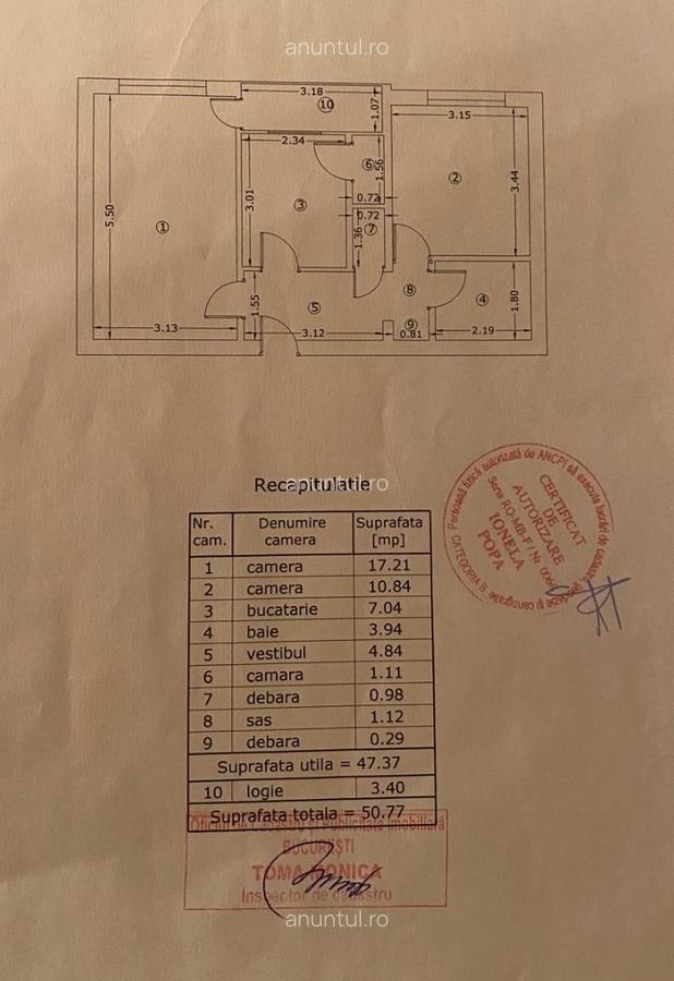 Obor Colentina, Teiul Doamnei, langa Sectia 7 Politie - 3