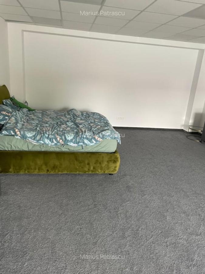 SPATIU DE INCHIRIAT TIMURI NOI-TINERETULUI - 7