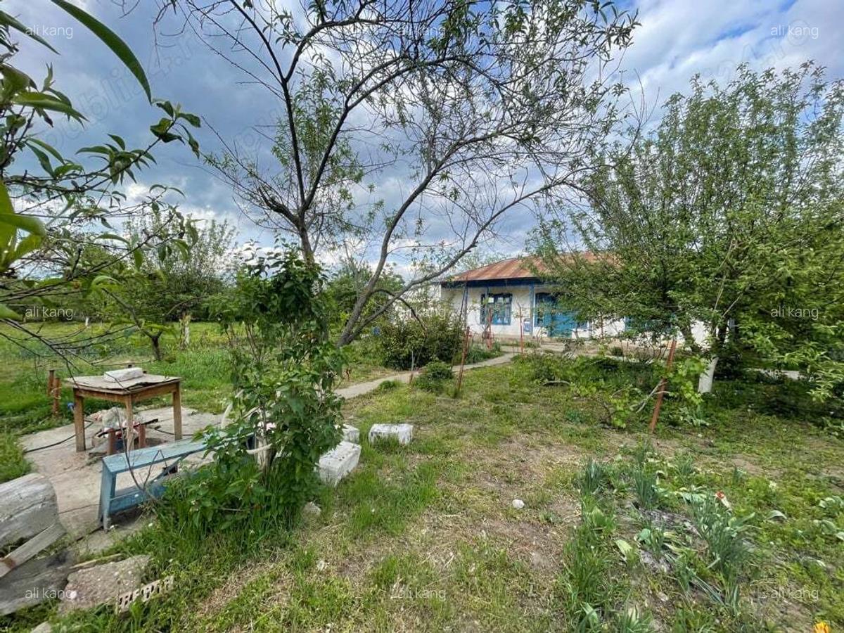 Casa de vanzare batraneasca - 9