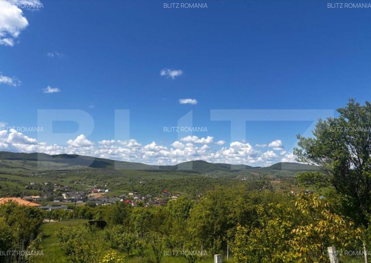Teren extravilan de vanzare, 2500 mp, zona Valea Sigmirului - 2