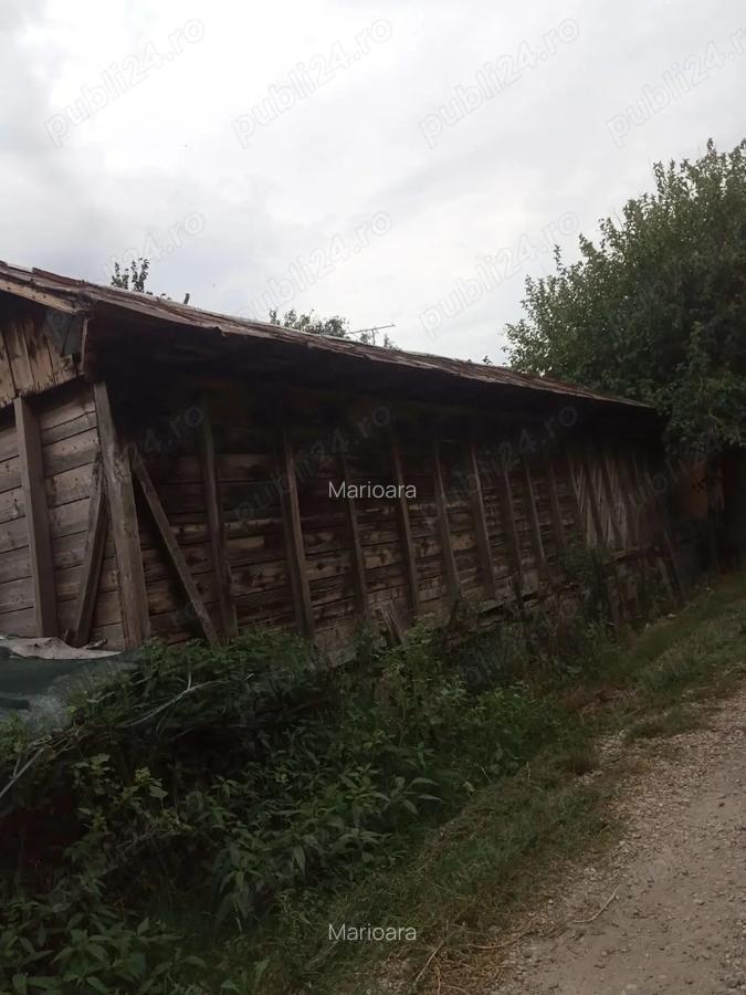 Vand Casa Putineiu Teleorman - 5