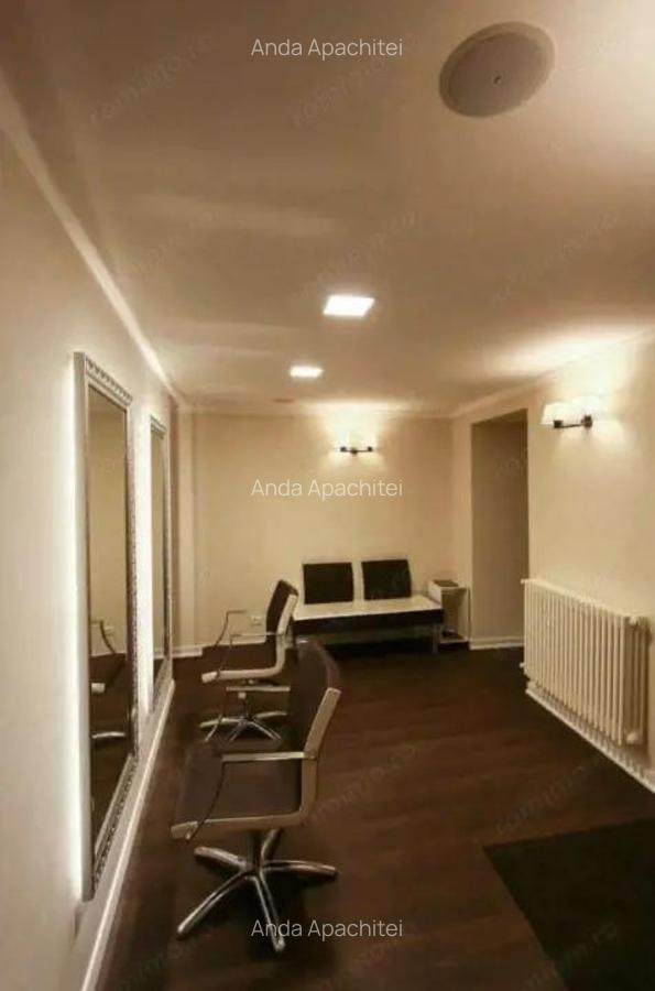 Spa?iu Comercial 45 mp Centrul Istoric - 1