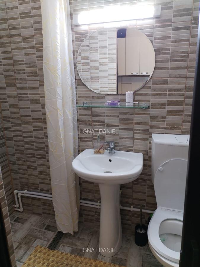 Garsoniera, PET FRIENDLY, zona Podu Ros - 5