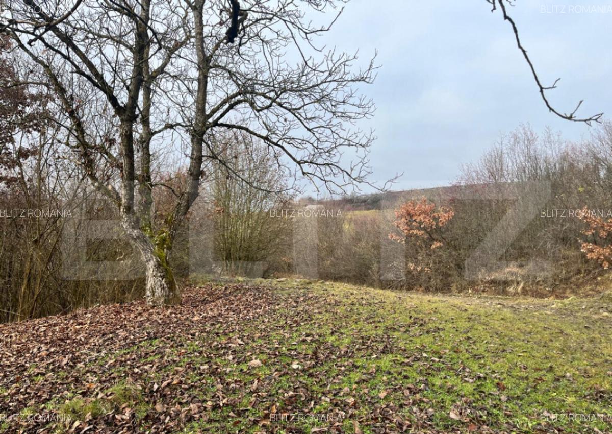 Teren extravilan, 4 hectare, langa livada de mere Ghinda - 5