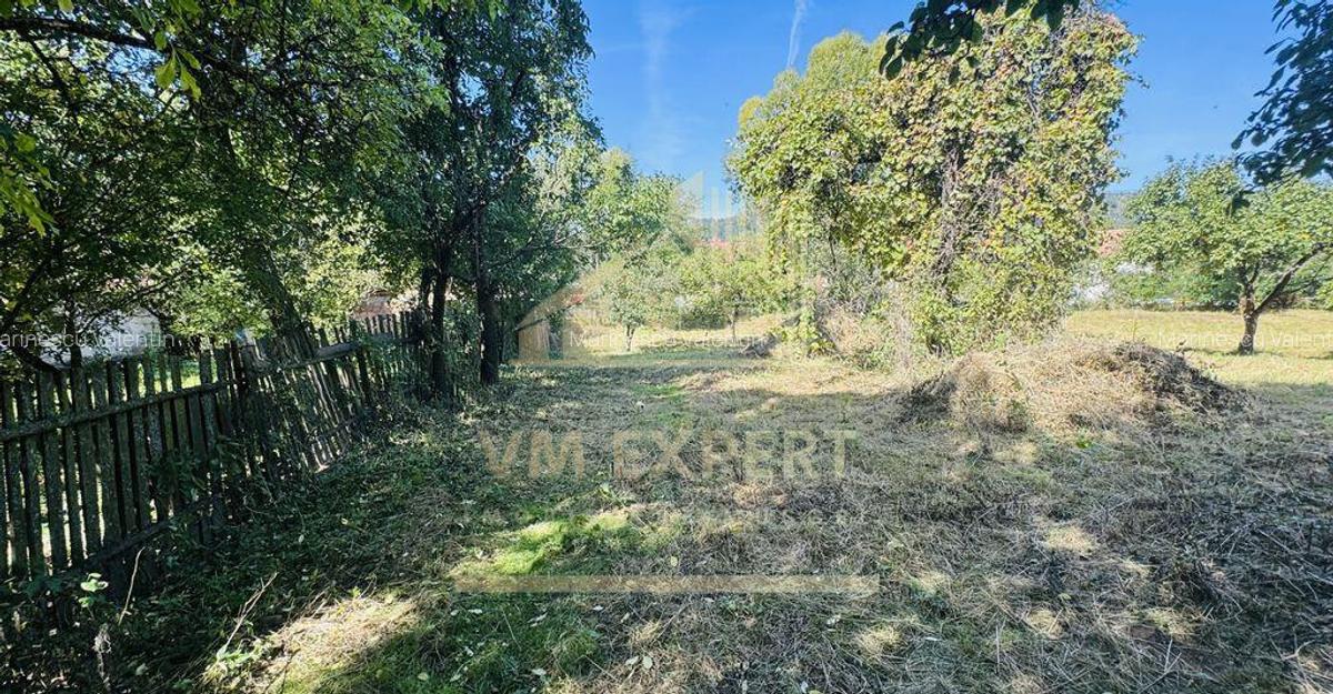 TEREN INTRAVILAN 3234 MP LERE?TI VOINE?TI ARGE? - 13