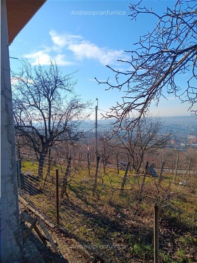 Bucium, Fundac Paun, teren1500mp. intravilan  str asfaltata - 4