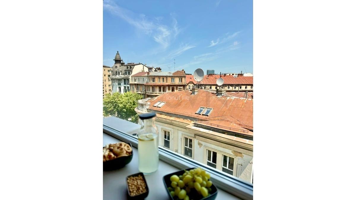 REA1024293 Apartament 2 camere Cismigiu I Plevnei - 3