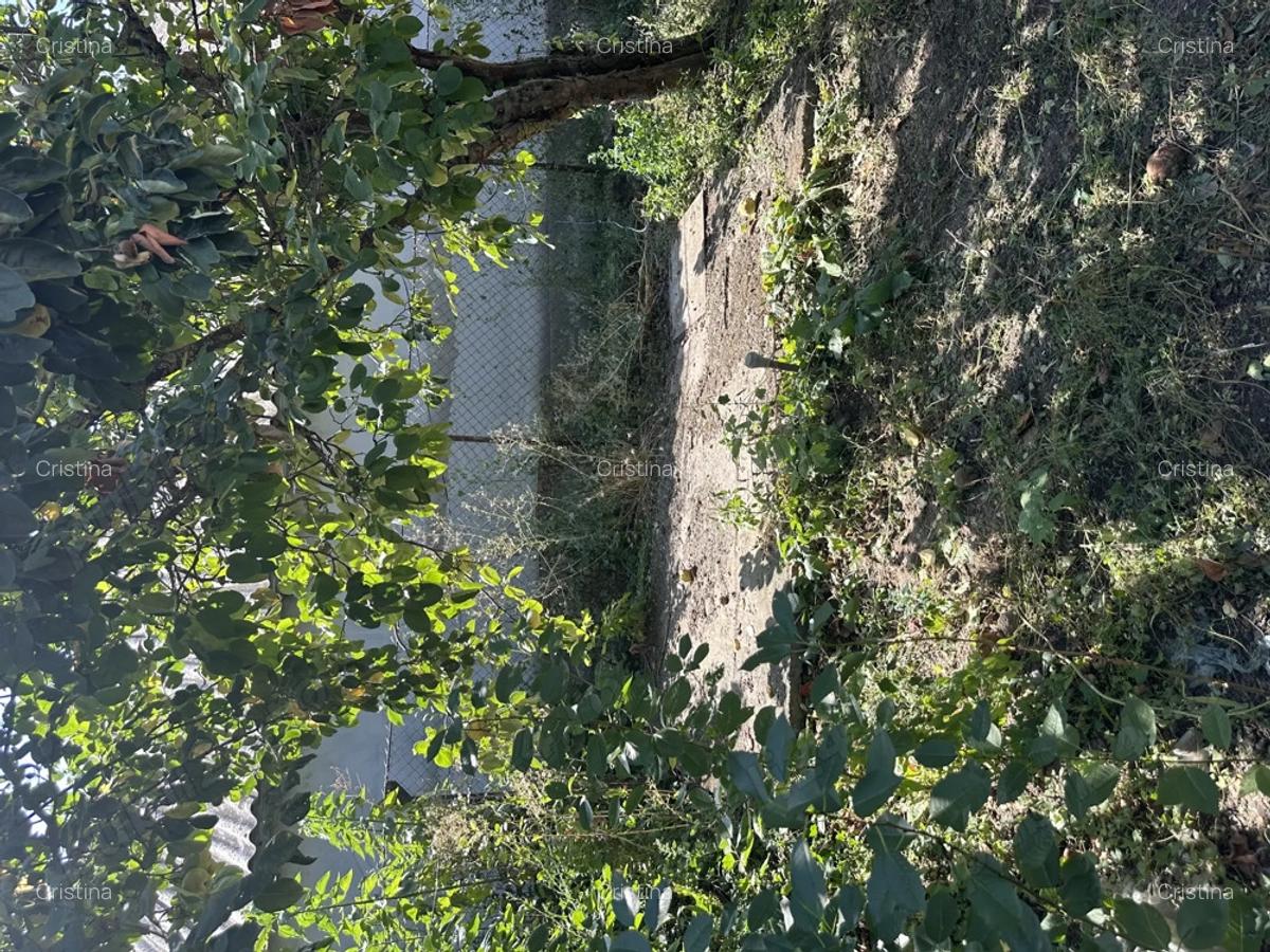 Casa la ?ara de vanzare - 10