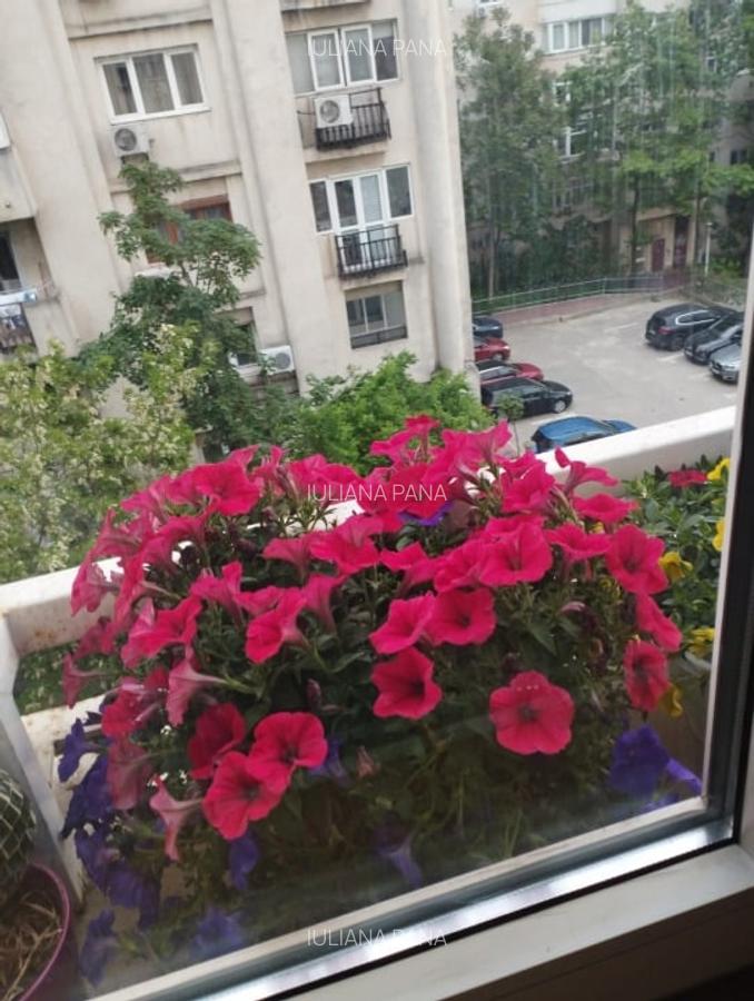 Proprietar ofer spre închiriere 3 camere BD Mircea Vodă - 7