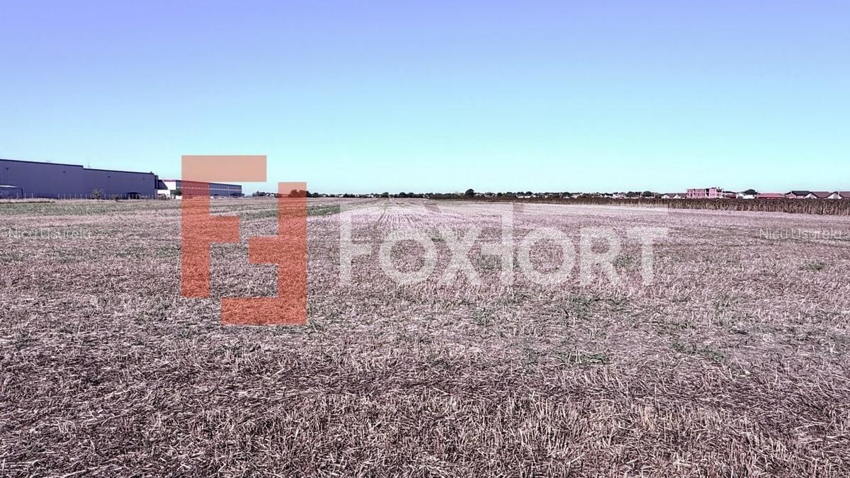 COMISION 0% Teren extravilan 40.000 mp - zona Sanandrei - 3