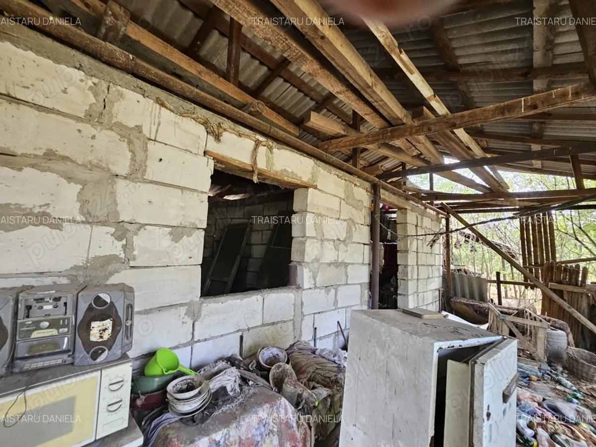 Gospodarie cu 2 case Comuna Trivale Mosteni, sat , la 30 km de Alexandria, jude?ul Teleorman - 4