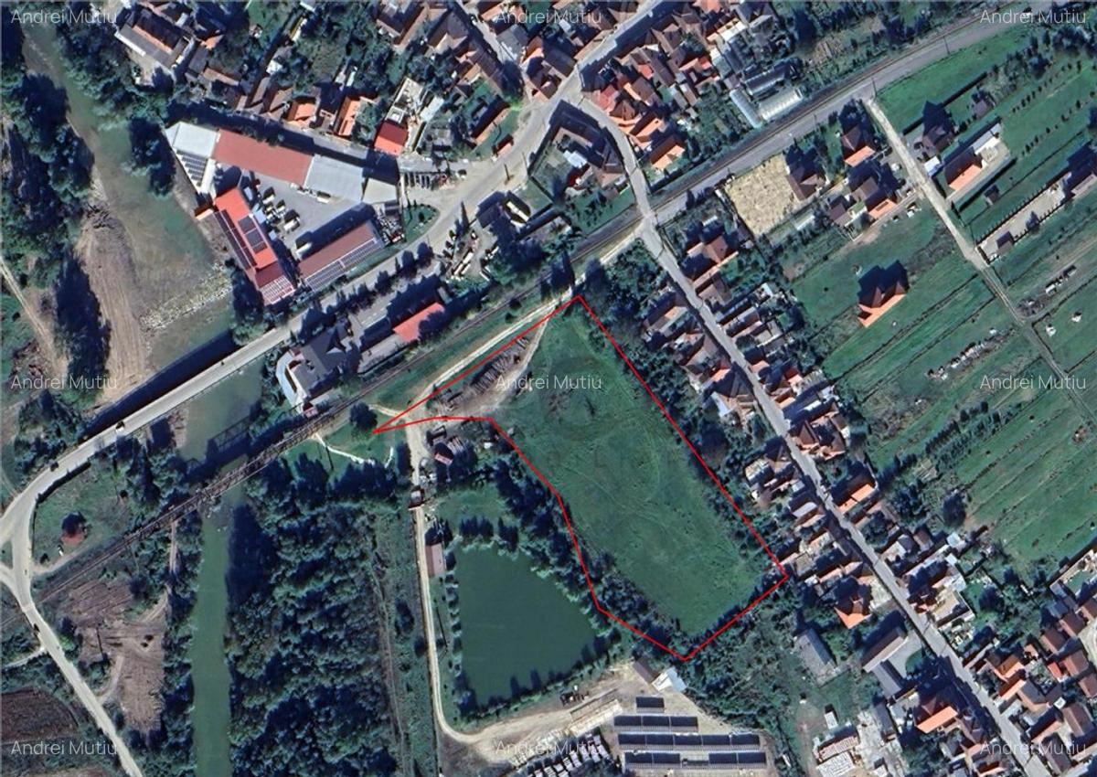 RECO Teren intravilan 13.500 mp Beius - 5