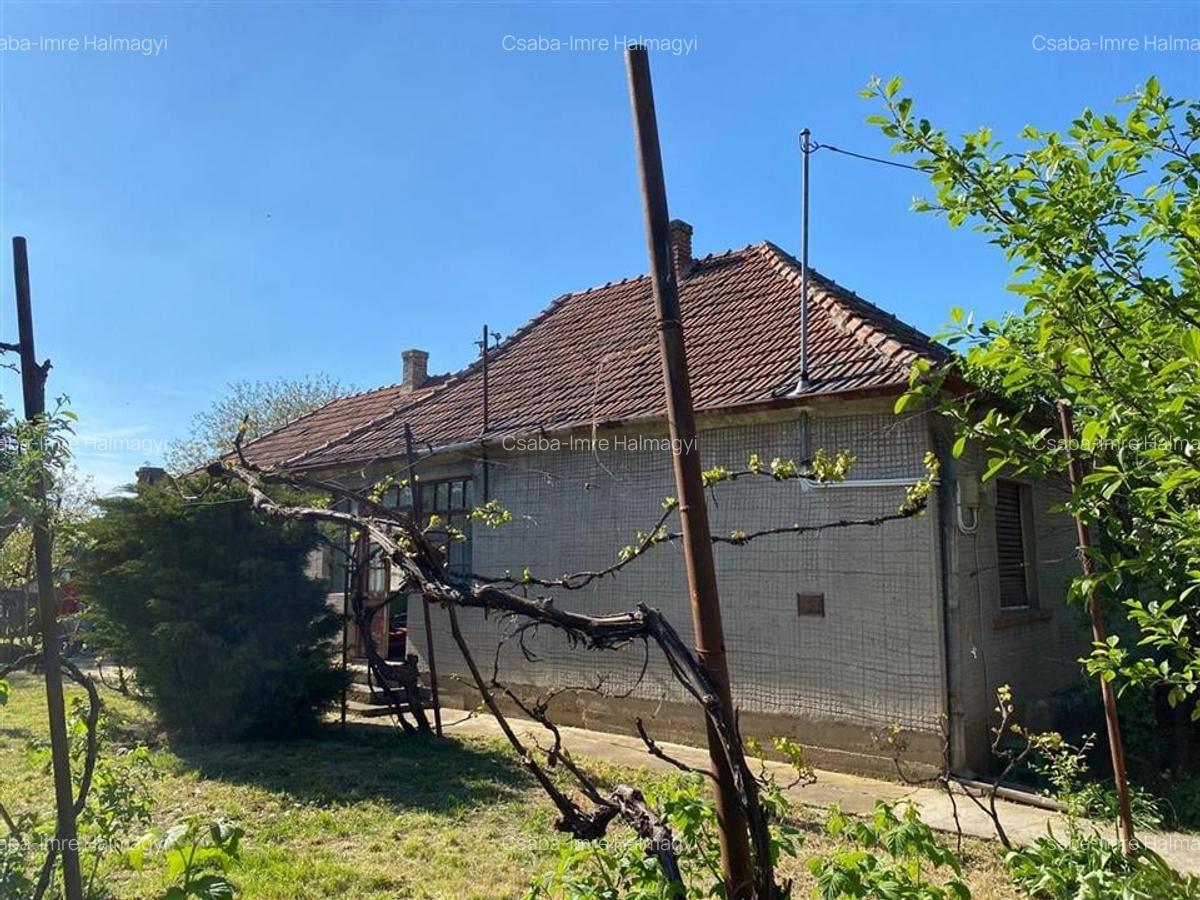 RECO Casa de renovat in Biharia - 4