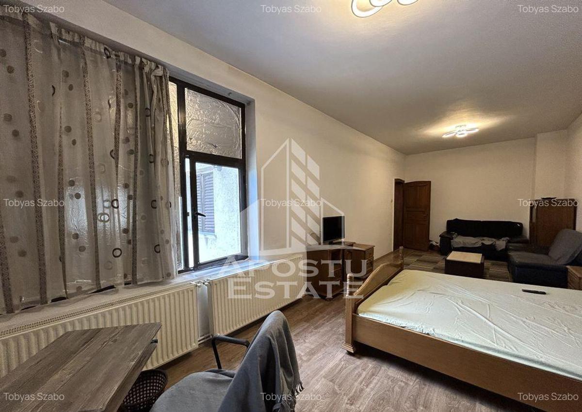 Apartament cu o camera, semidecomandat, in zona Balcescu - 3