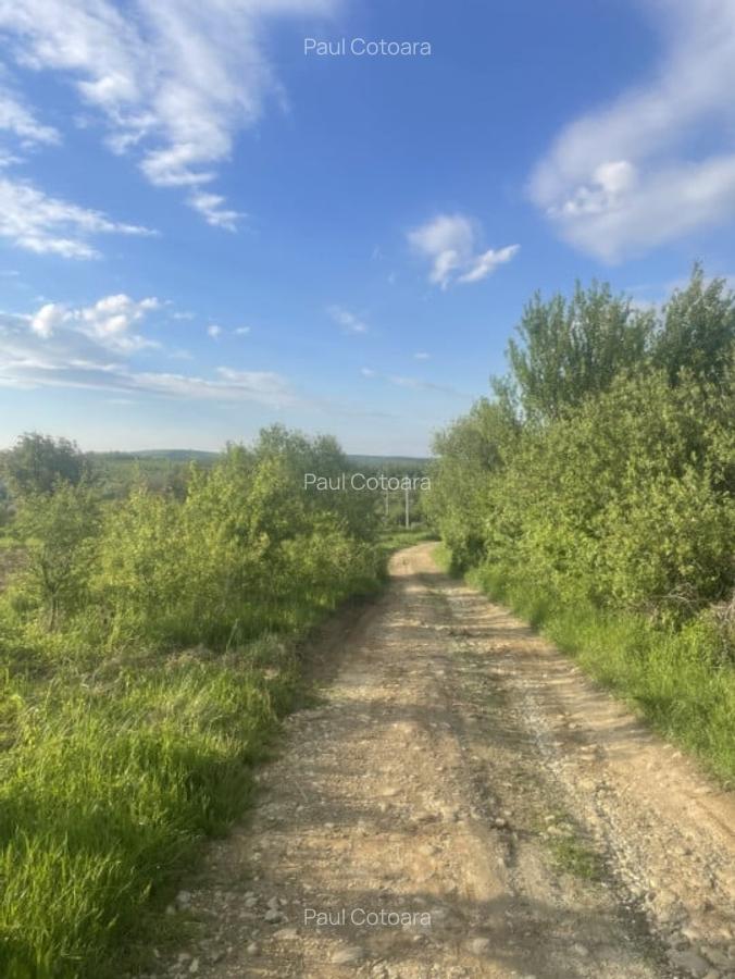 Vand Teren Intravilan, 2500 mp ,Zona Daia - 3