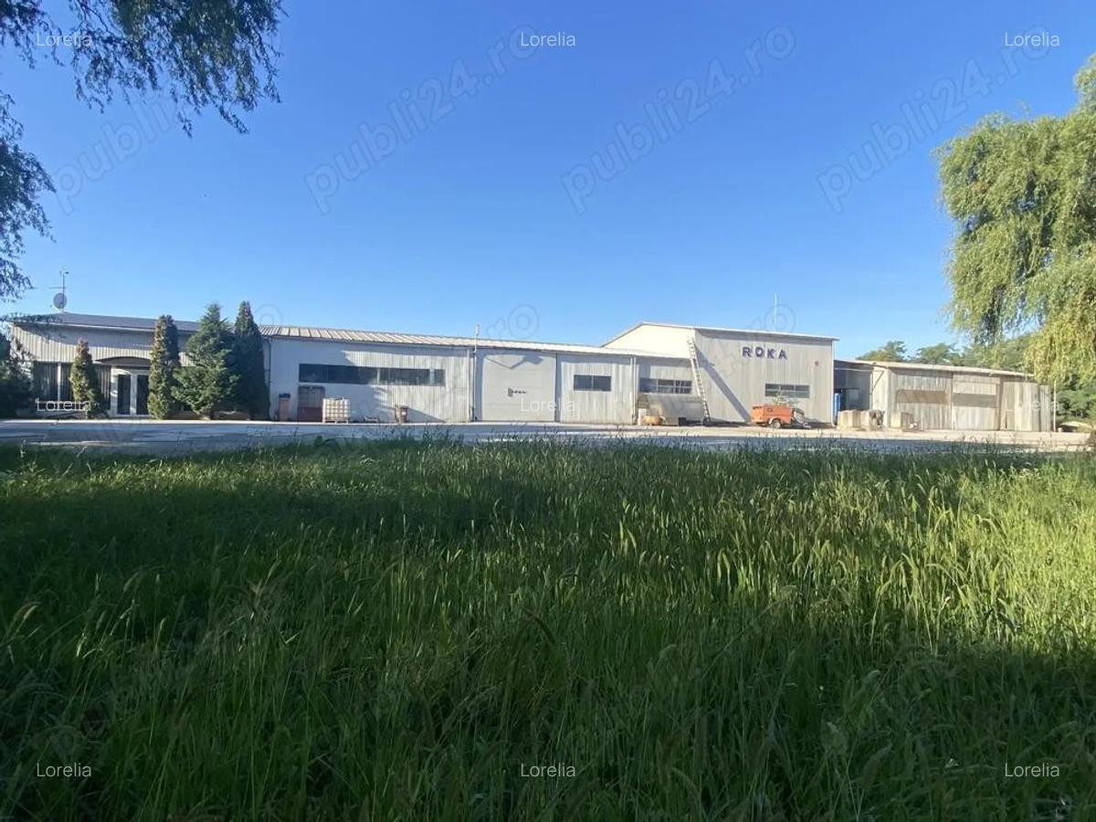 2 Hale cu birouri, vestiare, sala de mese si grupuri sanitare, teren 8868mp, E60, Tileagd BH, - 1