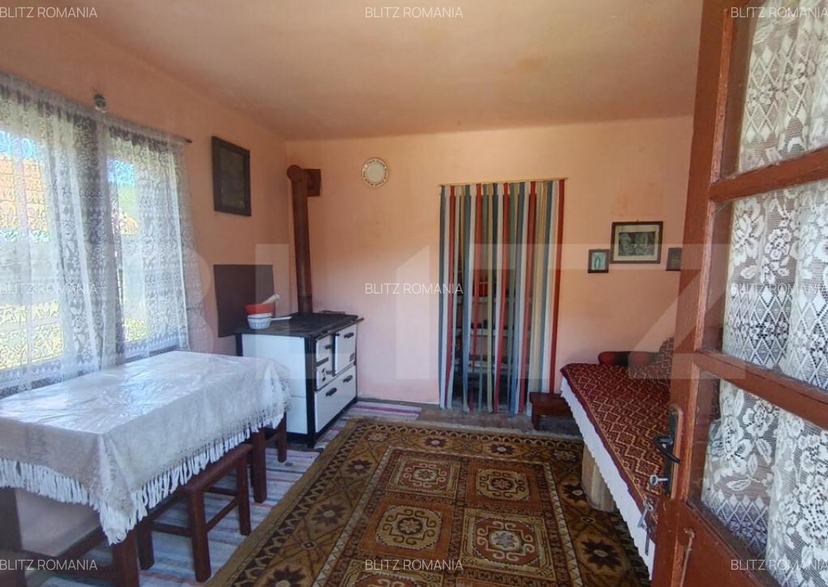 Casa cu 3 camere ?i o bucatarie de vara ?i 1300 mp teren - 5
