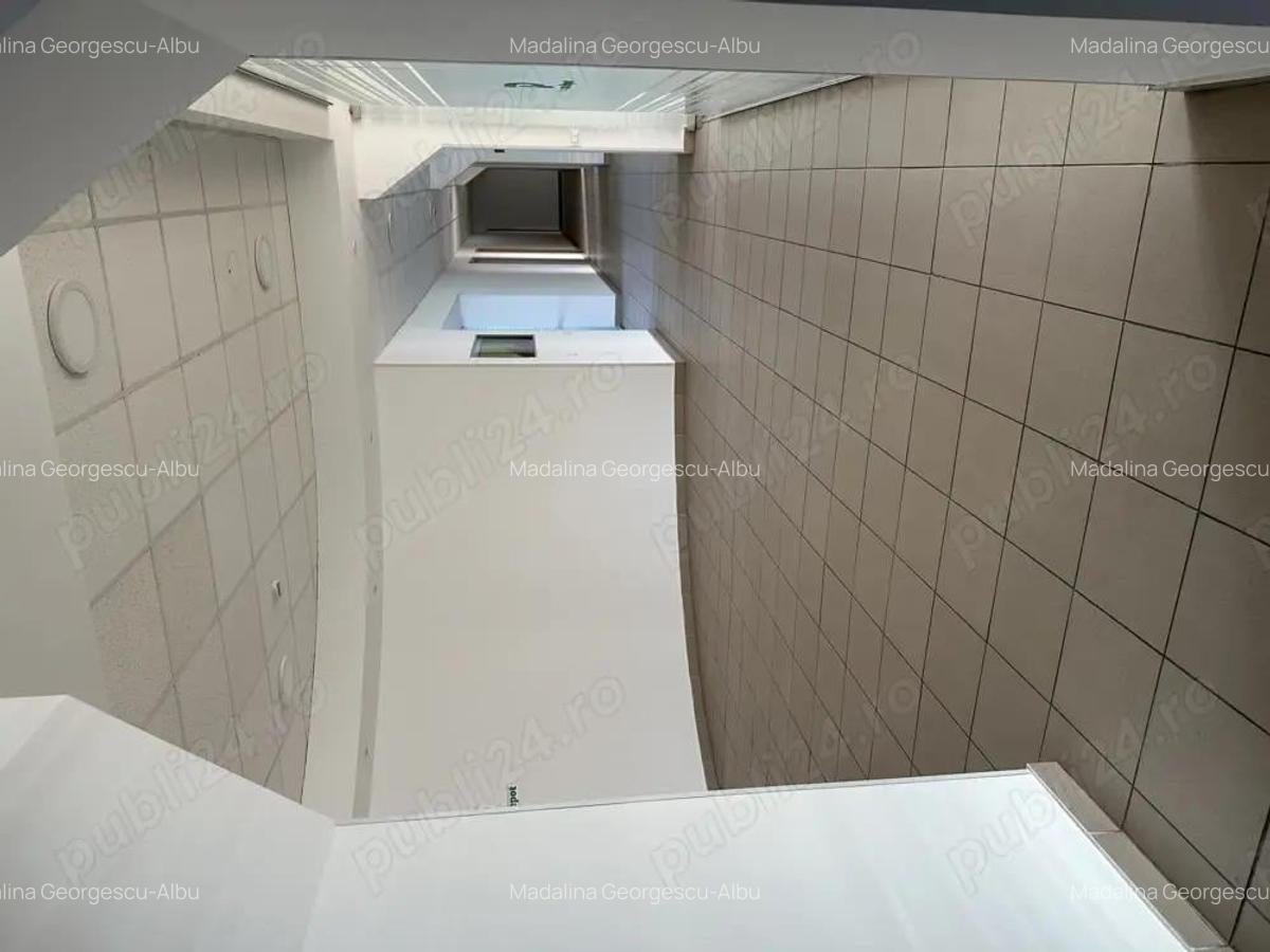 Theodor Pallady stradal birou 410 mp utili LIBER - 18