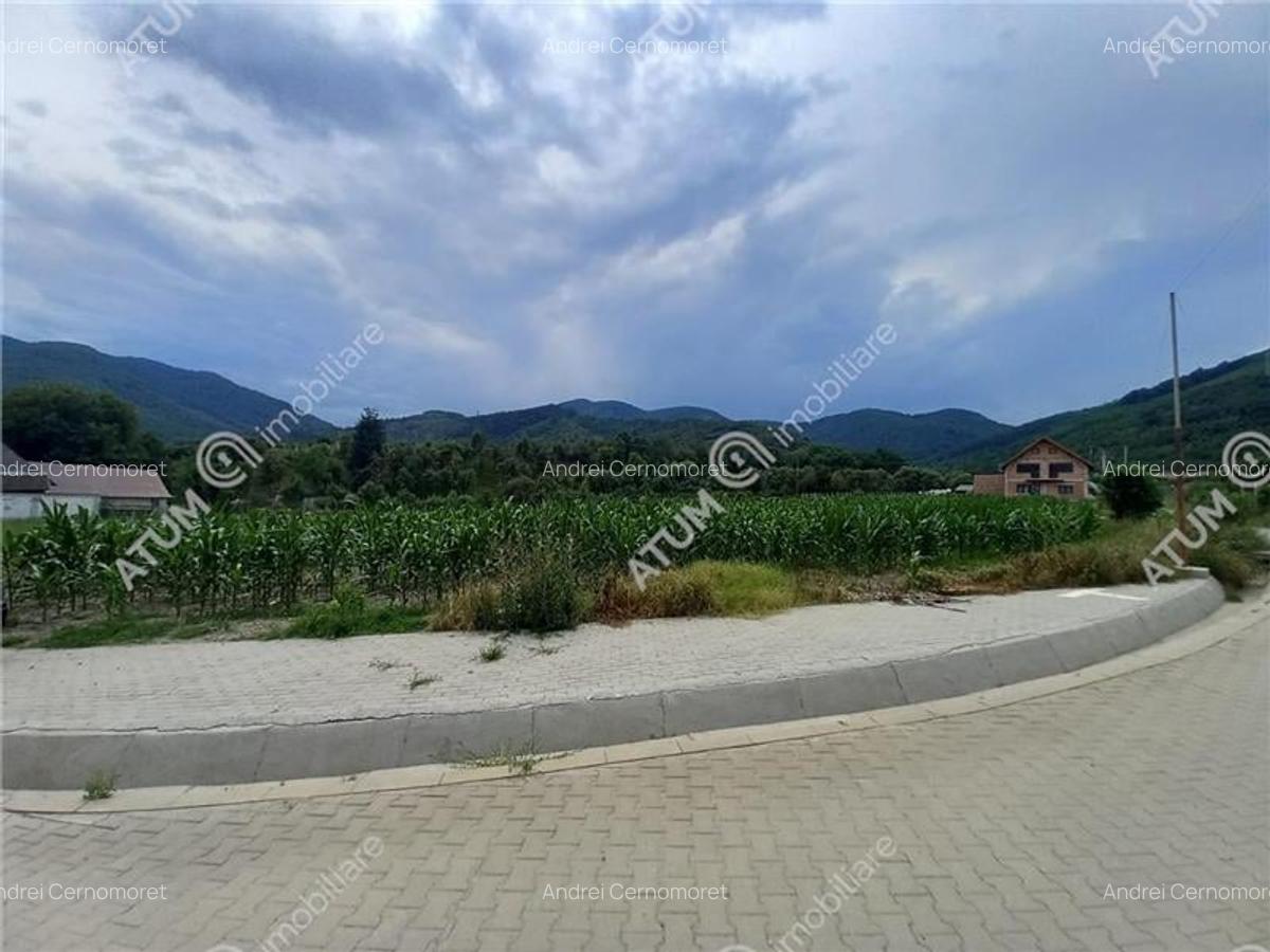 De vanzare 733 mp in Boita Sibiu - 5