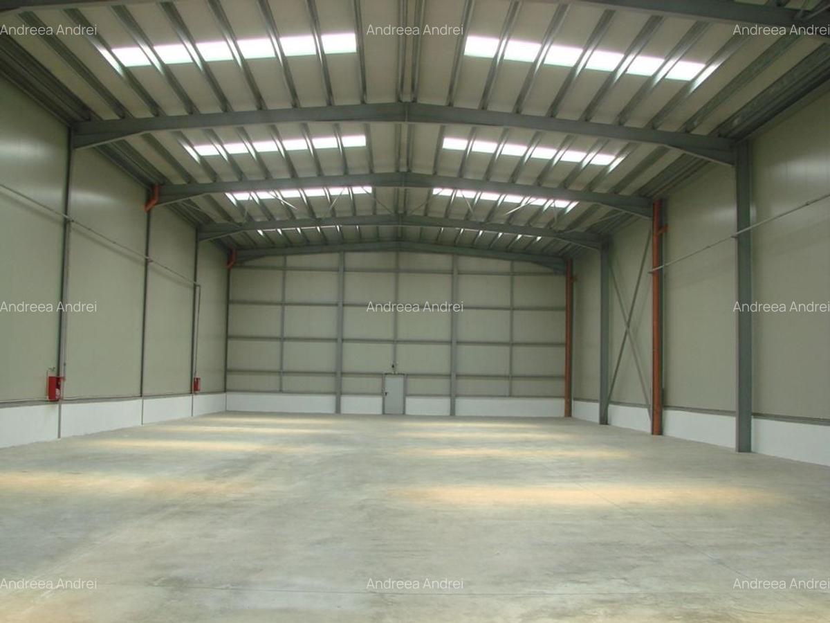 Spațiu industrial, 4320 mp în Prejmer - 6