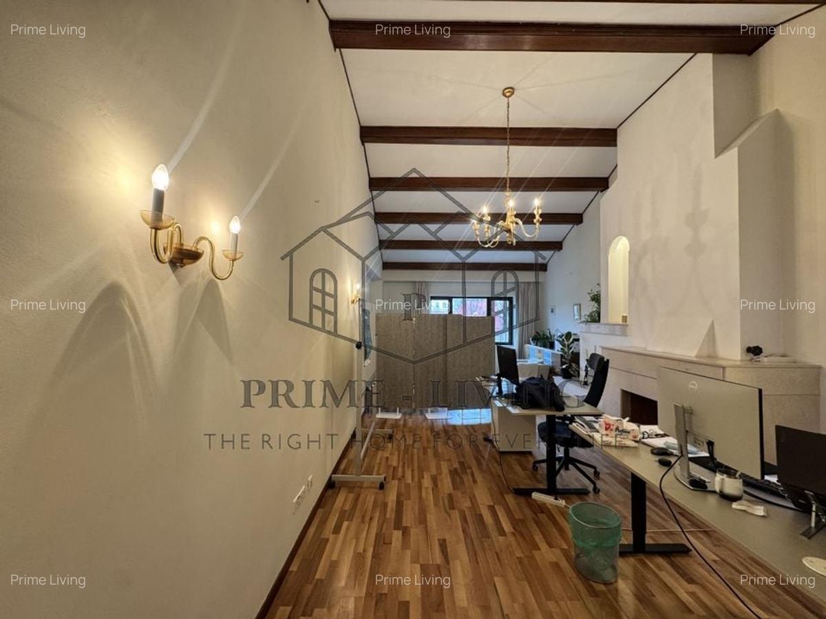 VILA DEOSEBITĂ LA VÂNZARE ÎN ZONA CENTRALĂ APROAPE DE CALEA PLEVNEI - 8