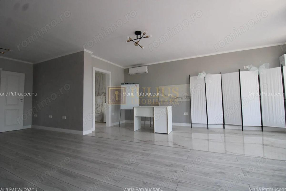 Curte, 4 apartamente, 8 camere, perfecta pt activita?i educa?ionale-Dumbravita - 26