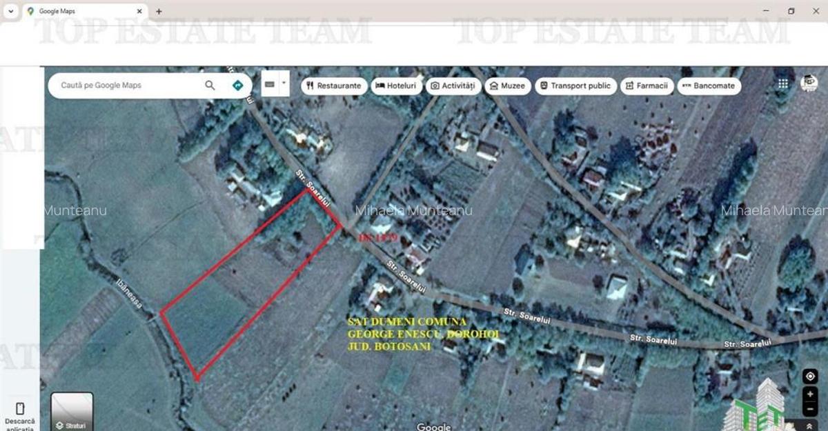 Teren de la 14 km de Dorohoi, Botosani (Sipotei) - 1