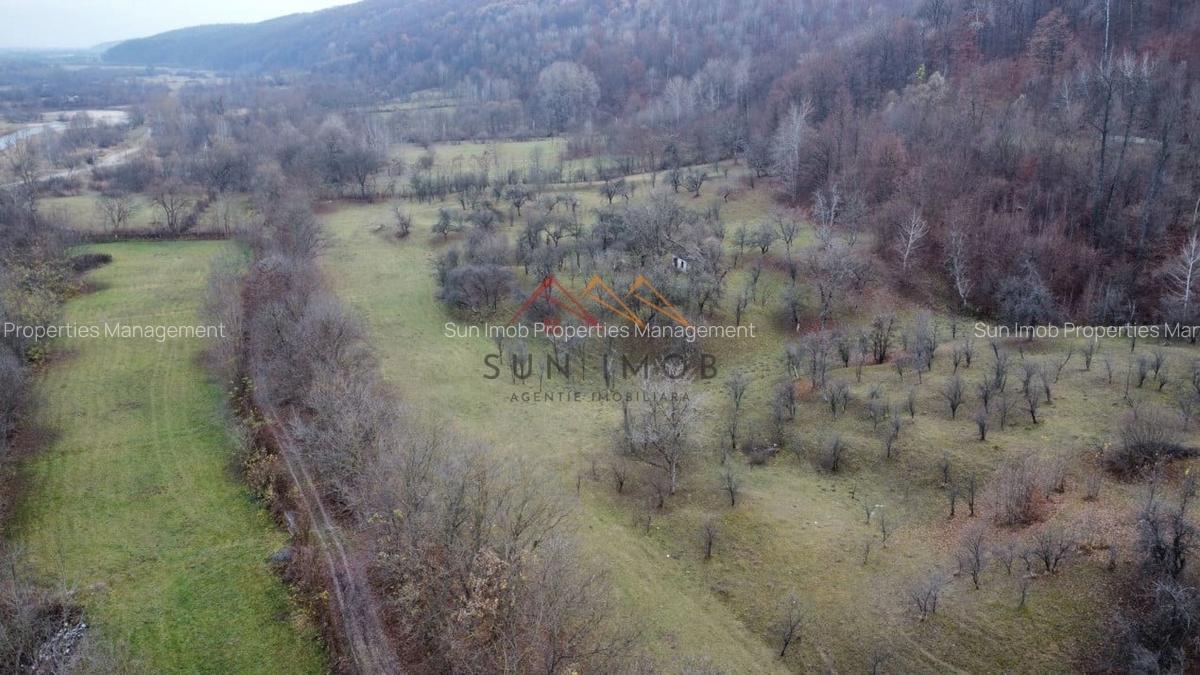 Teren Construcții intravilan de 36000 mp, în Provița de Jos - 2