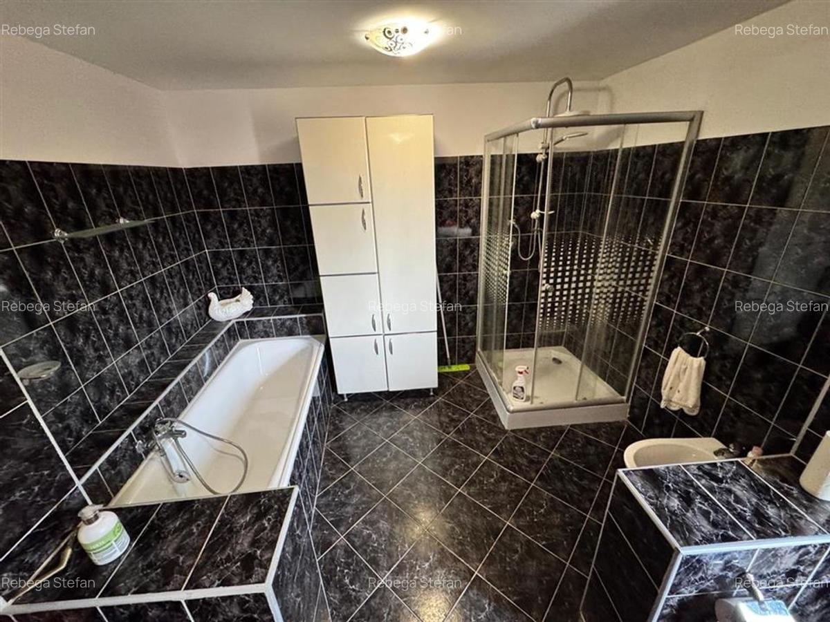 CASA DE VANZARE PANCIU - 17