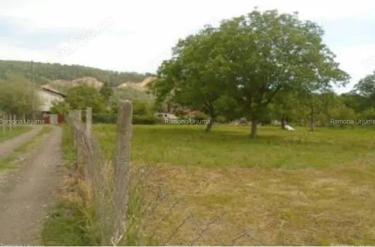 Teren intravilan loc. Brosteni, judetul Vrancea - 7