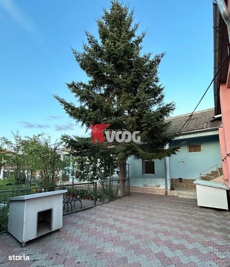 Casa cu potential în Mehala - 5
