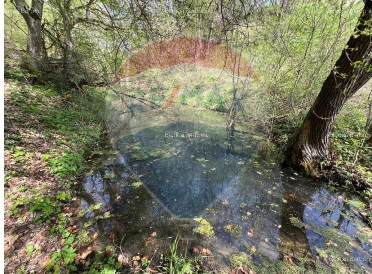 Casa veche cu teren ,Varmaga jud Hunedoara - 12