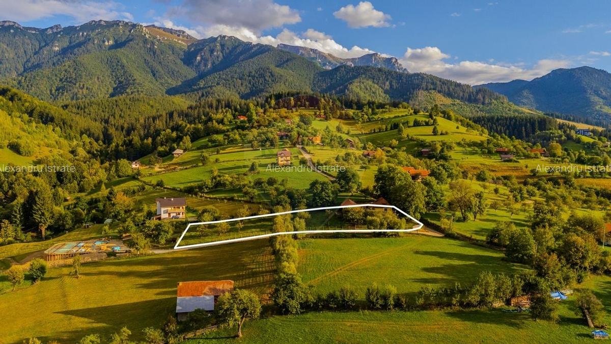 Teren intravilan cu PRIVELISTE UNICA |BRAN, BV| 3,000mp | COMISION 0 | - 7