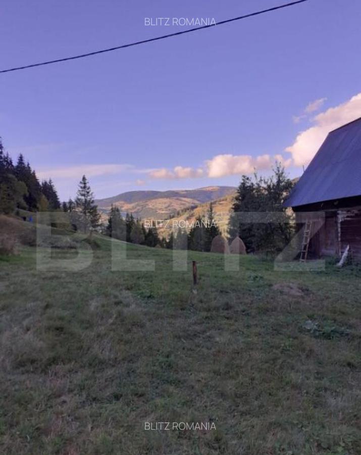 Casa la munte, cu teren 13383 mp, zona Horea - Apuseni - 3