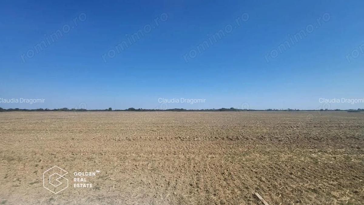 Teren Mosnita Noua, 11600 mp - 3