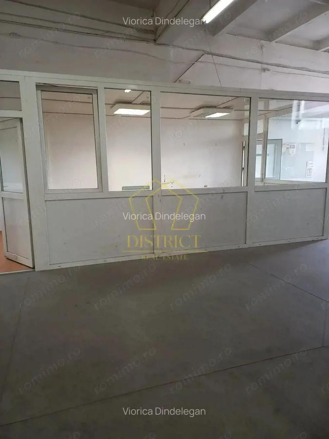 Spatiu Comercial tip Hala I Zona Lipovei - 2