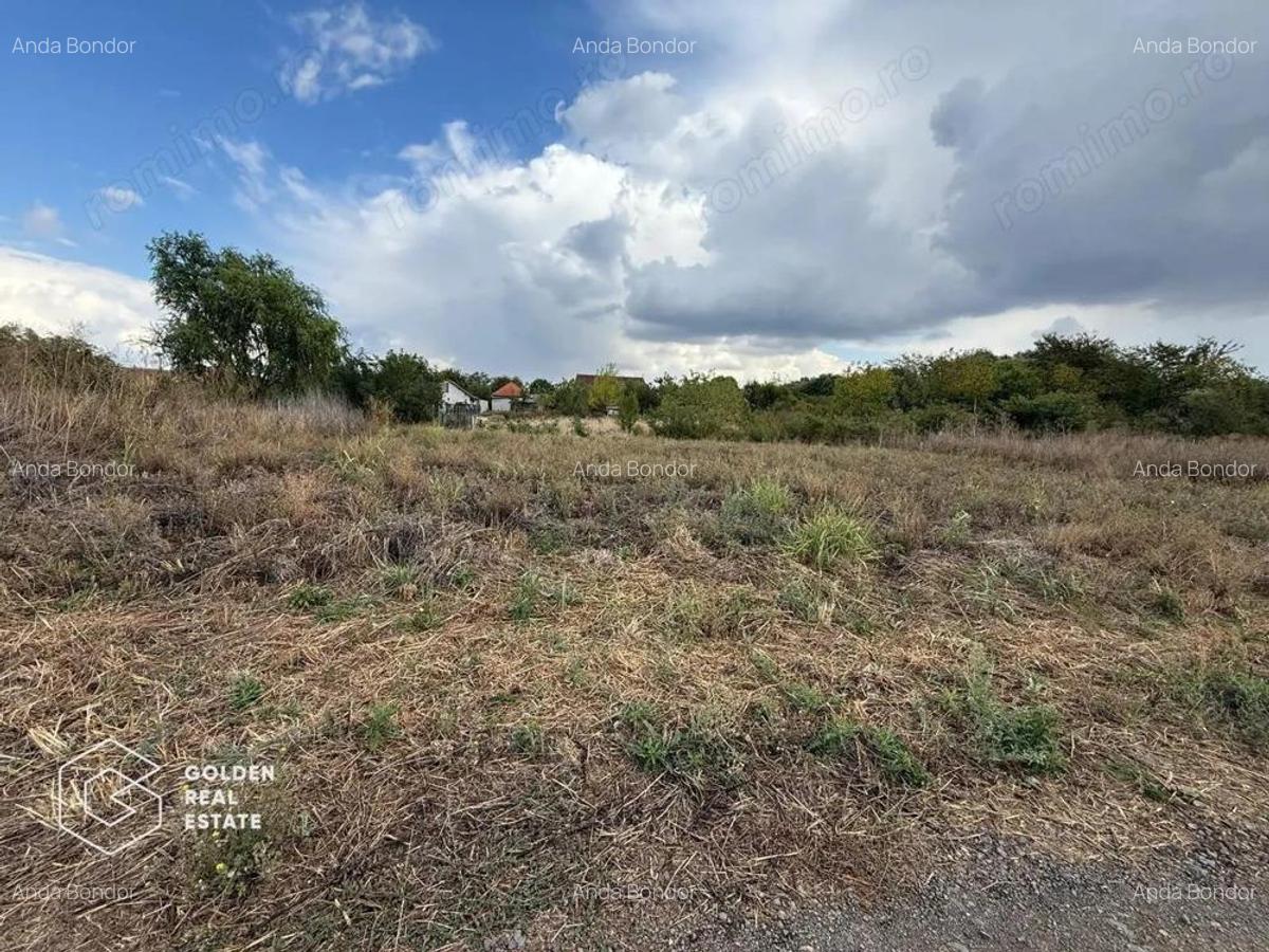Teren intravilan 538 mp, curti constructii, Sacalaz, Tims - 2