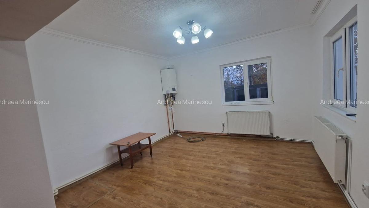 Hale industriale, 164mp, Brestei, zona cimitirului - 4