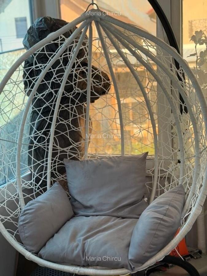 Casa Individuala Berceni 4 Camere 3 Parcari - 12