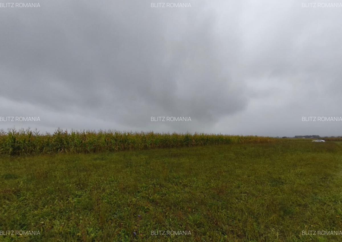 Teren intravilan, 5200mp, front 27ml, Fratautii Vechi, Radau - 3