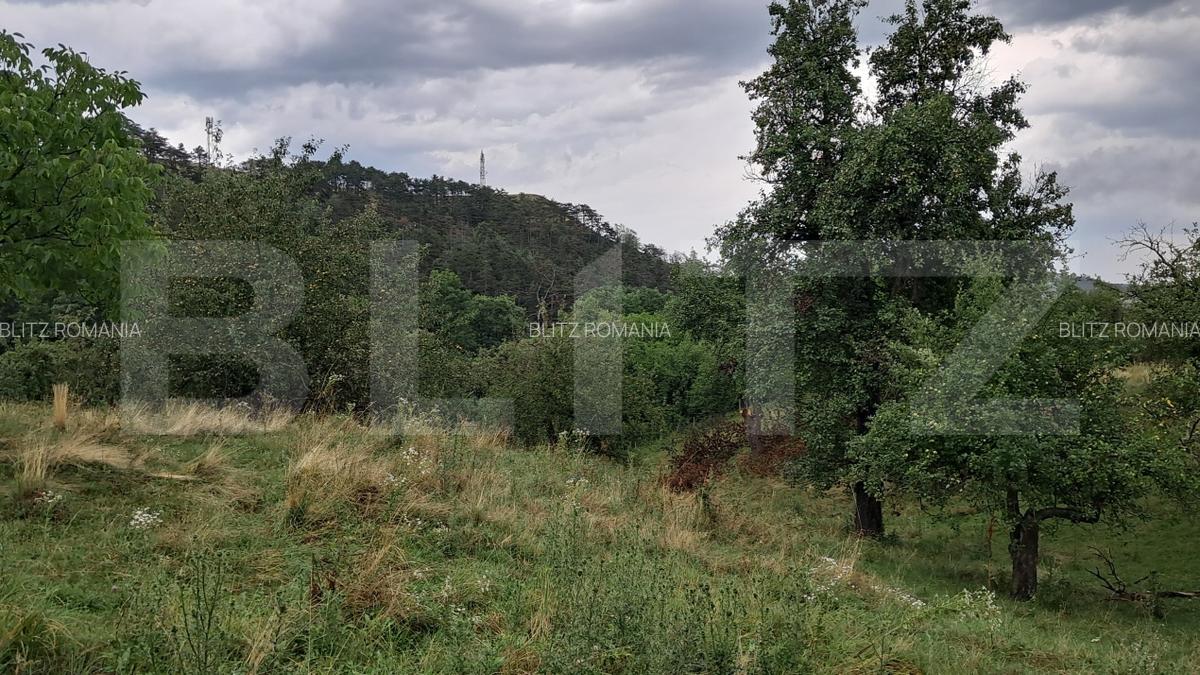 Casa la tara de vanzare, teren de 6000 mp - Cacova Ierii, Comuna Iara, Cluj - 15