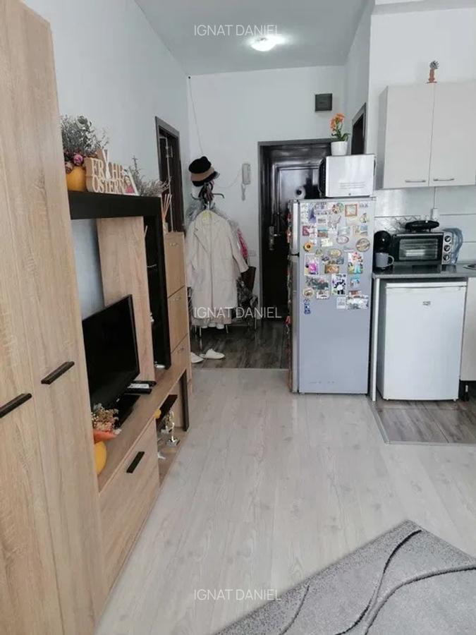 Apartament de 2 camere, zona Podu Ros - 3